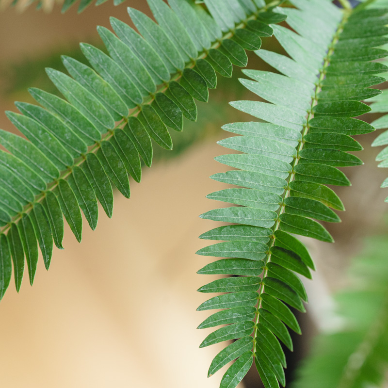 エバーフレッシュ/neulo(ニューロ)/ラウンドクロス・ポットカバー