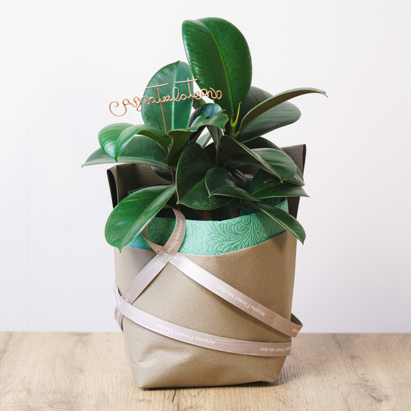 観葉植物とのセットにおすすめ】コングラチュレーションピック