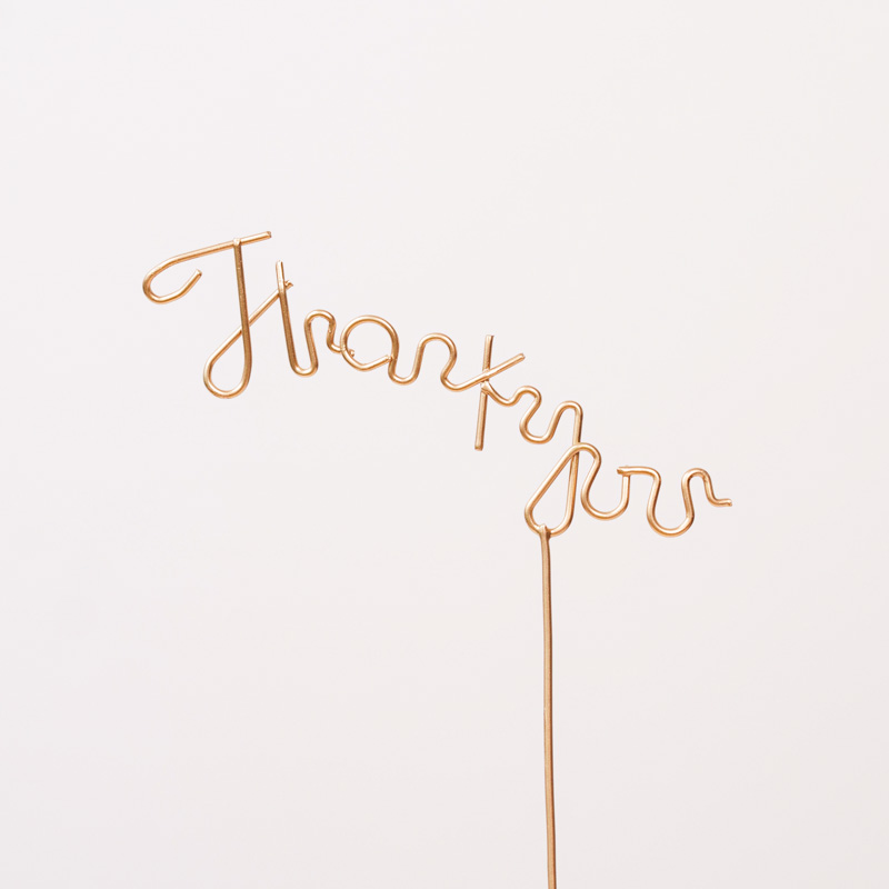 観葉植物とのセットにおすすめ】サンキューピック（Thank you） | 青山