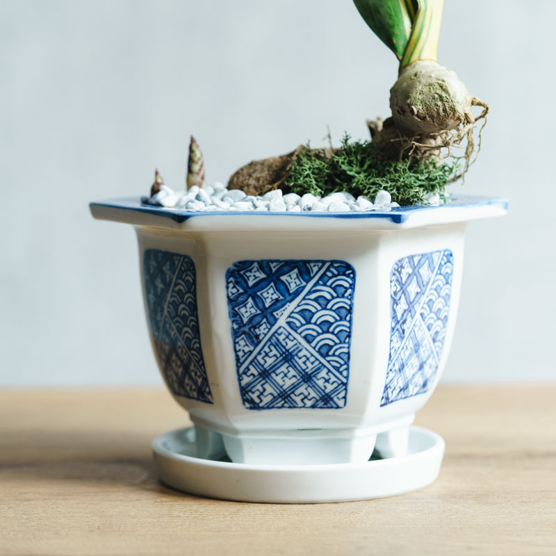 青山フラワーマーケット｜花束・ギフトのオンラインショップ