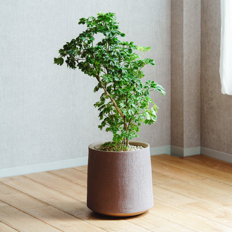 アンティーク 洗礼者聖ヨハネと羊プチポワン 薔薇朝顔菫ニードルポイント 麻布付 アンティーク 洗礼者聖ヨハネと羊プチポワン 薔薇朝顔菫ニードル