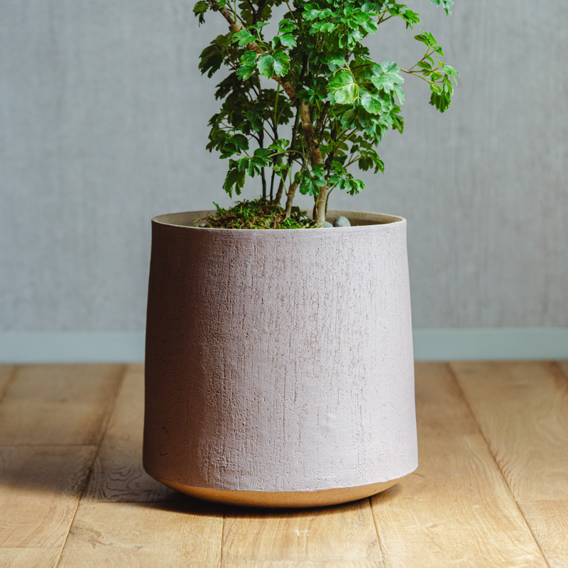 一点もの】ポリシャス・バタフライ/DOMANI(ドマーニ)/バスティアポット