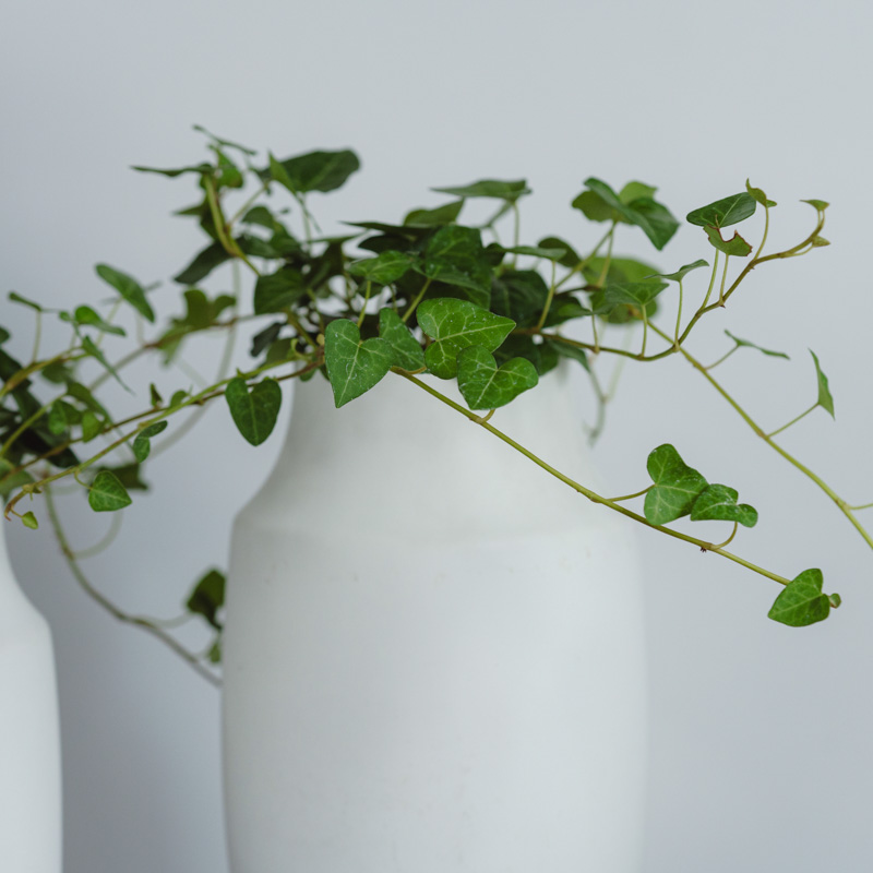 植木鉢　Murmures(ミュールミル) 植木鉢 Murmures(ミュールミル)