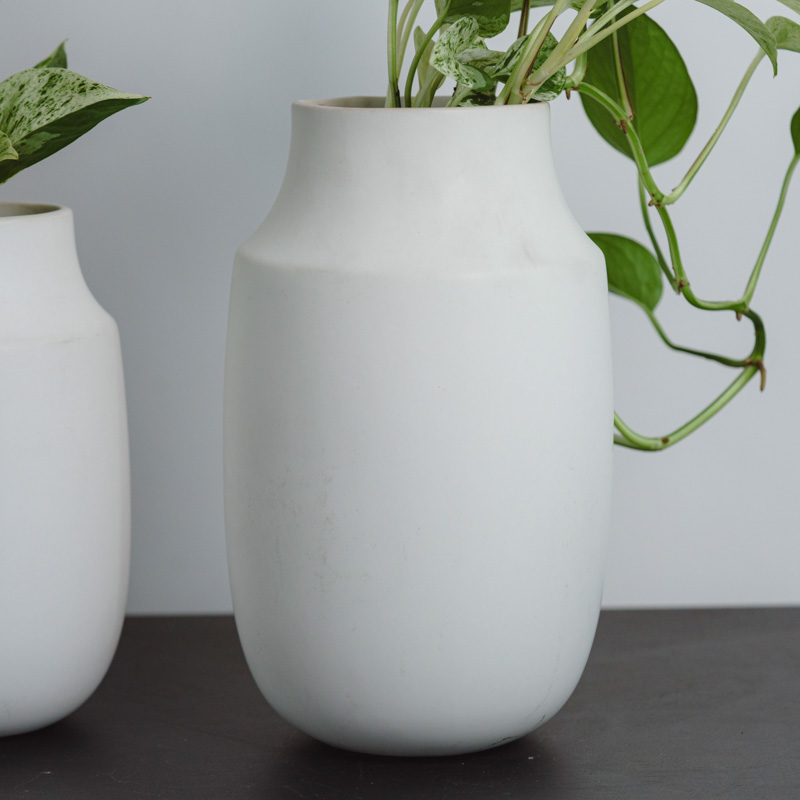 ポトス・マーブルクイーン/murmures(ミュールミル)/ラミアM | 青山