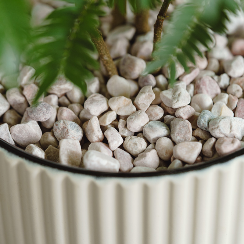 【お客♡】エバーフレッシュ♥記念品 エバーフレッシュ/FARM(ファーム)/エルセ14 C | 青山フラワー