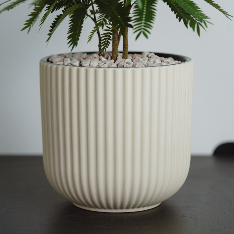 【お客♡】エバーフレッシュ♥記念品 エバーフレッシュ/FARM(ファーム)/エルセ14 C | 青山フラワー