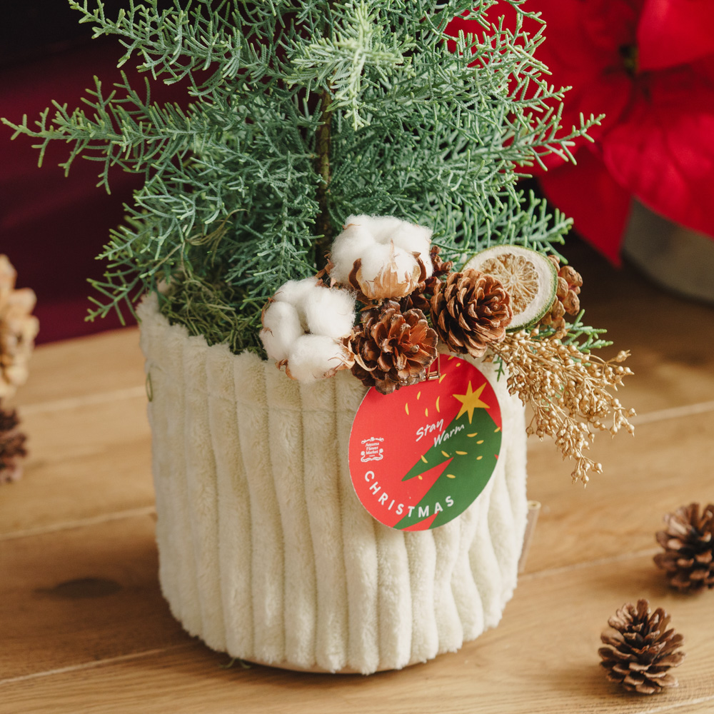 ディスプレイ台セット商品】サルフレア/青山フラワーマーケット/Pleats