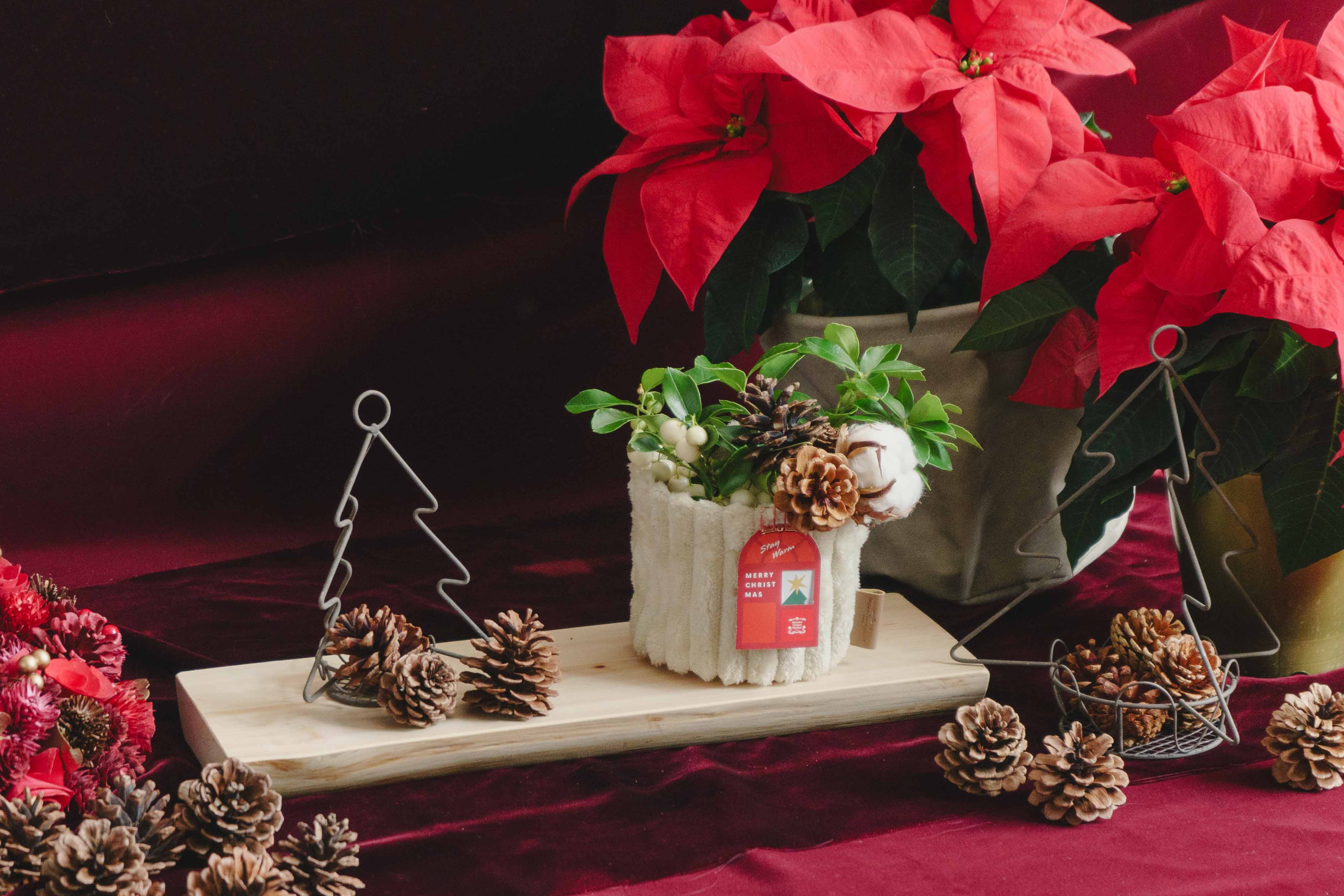 ディスプレイ台セット商品】チェッカーベリー/青山フラワーマーケット