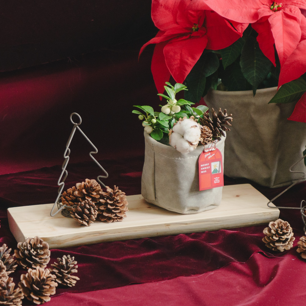 アドベント気分を盛り上げる壁飾り クリスマススワッグS | 青山