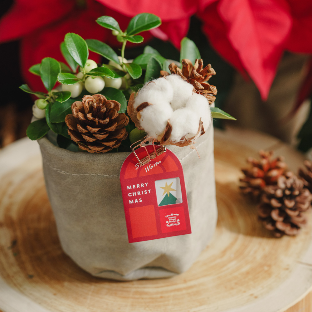 アドベント気分を盛り上げる壁飾り クリスマススワッグS | 青山