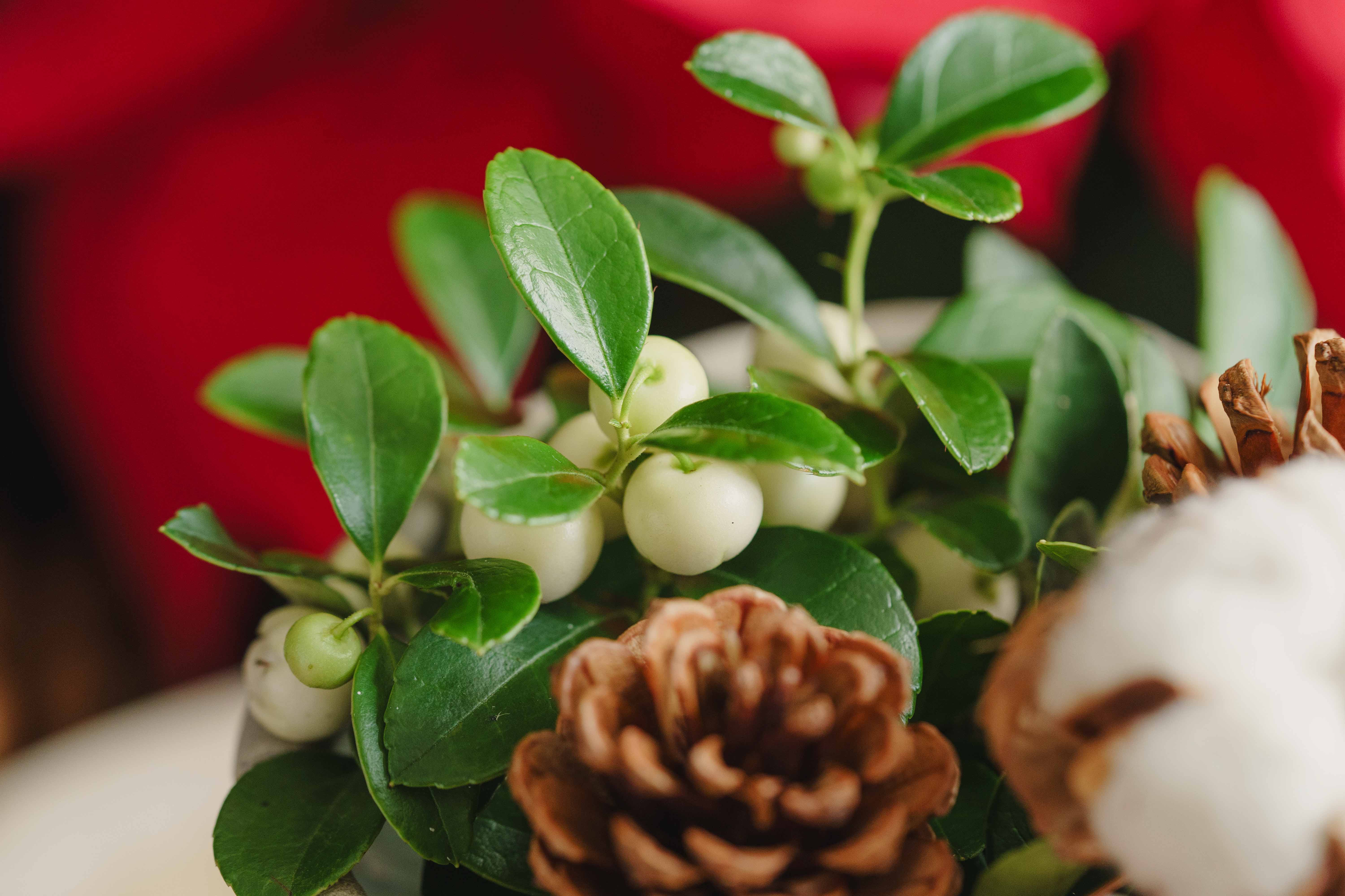 チェッカーベリー/青山フラワーマーケット/Pleats（M) | 青山フラワー