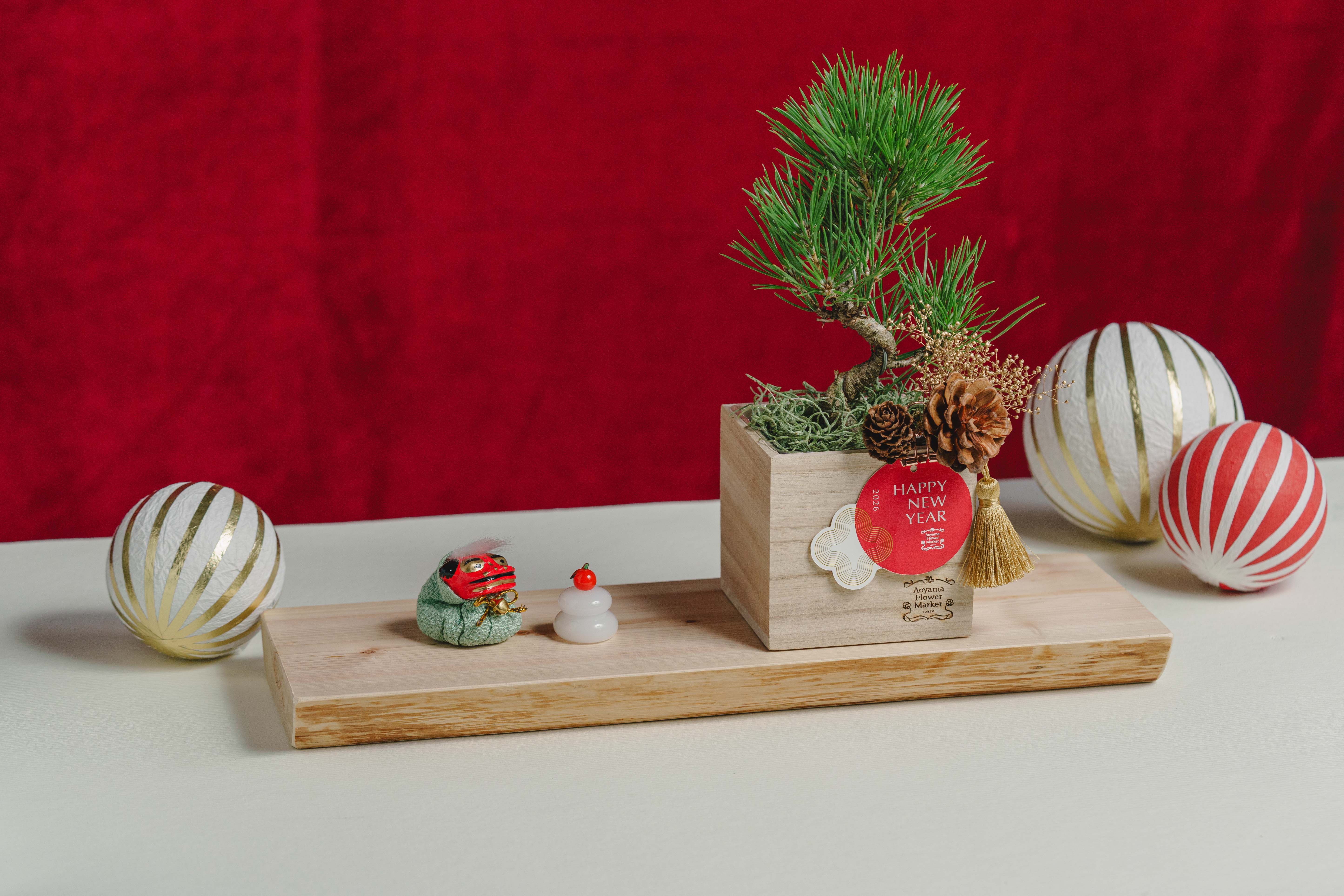 お正月お飾り3点セット付】黒松盆栽/青山フラワーマーケット