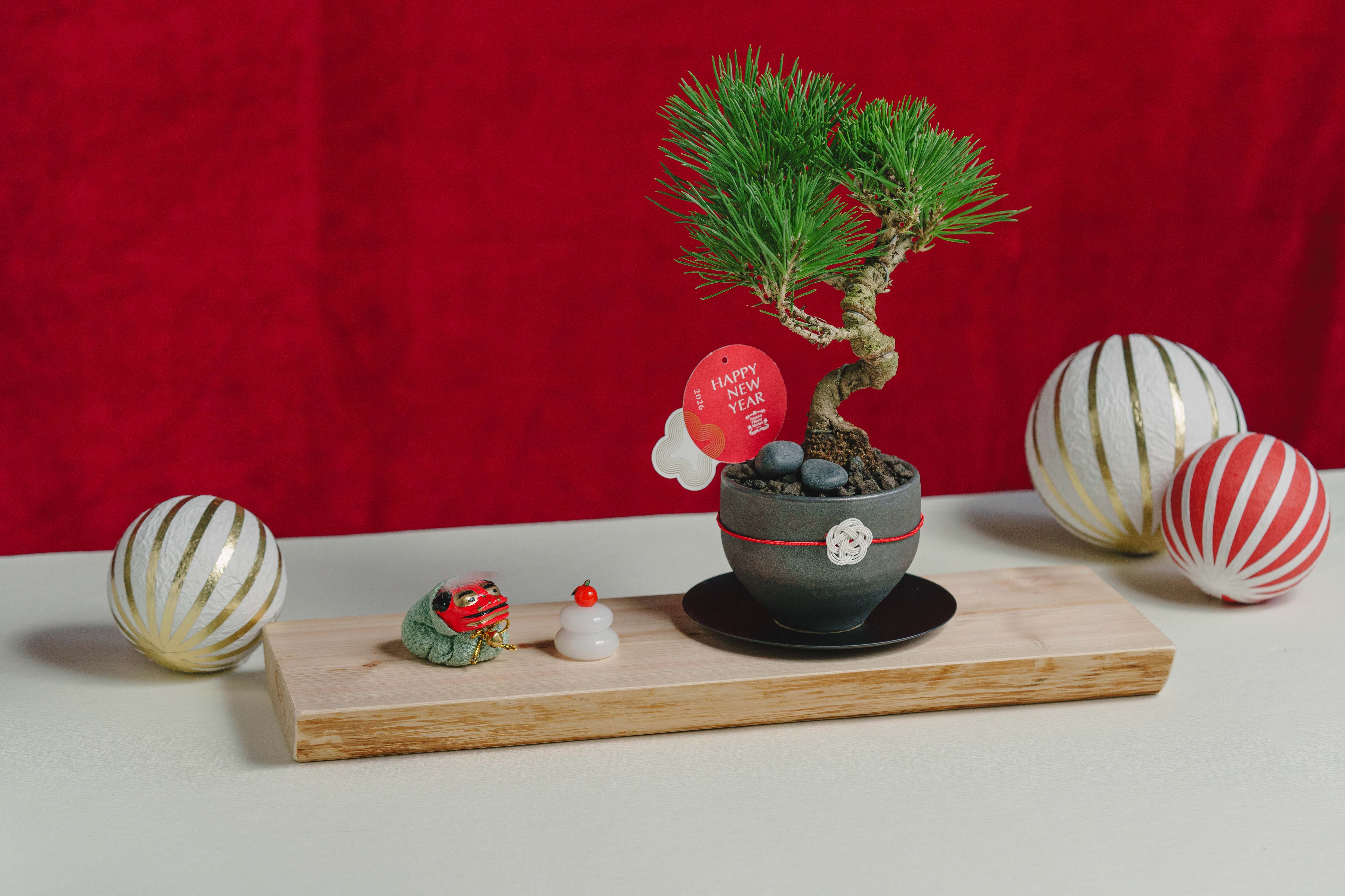 春花秋月　正規品 桂月 超辛口 特別純米酒 60（秋上がり）720ml – Keigetsu Online Store