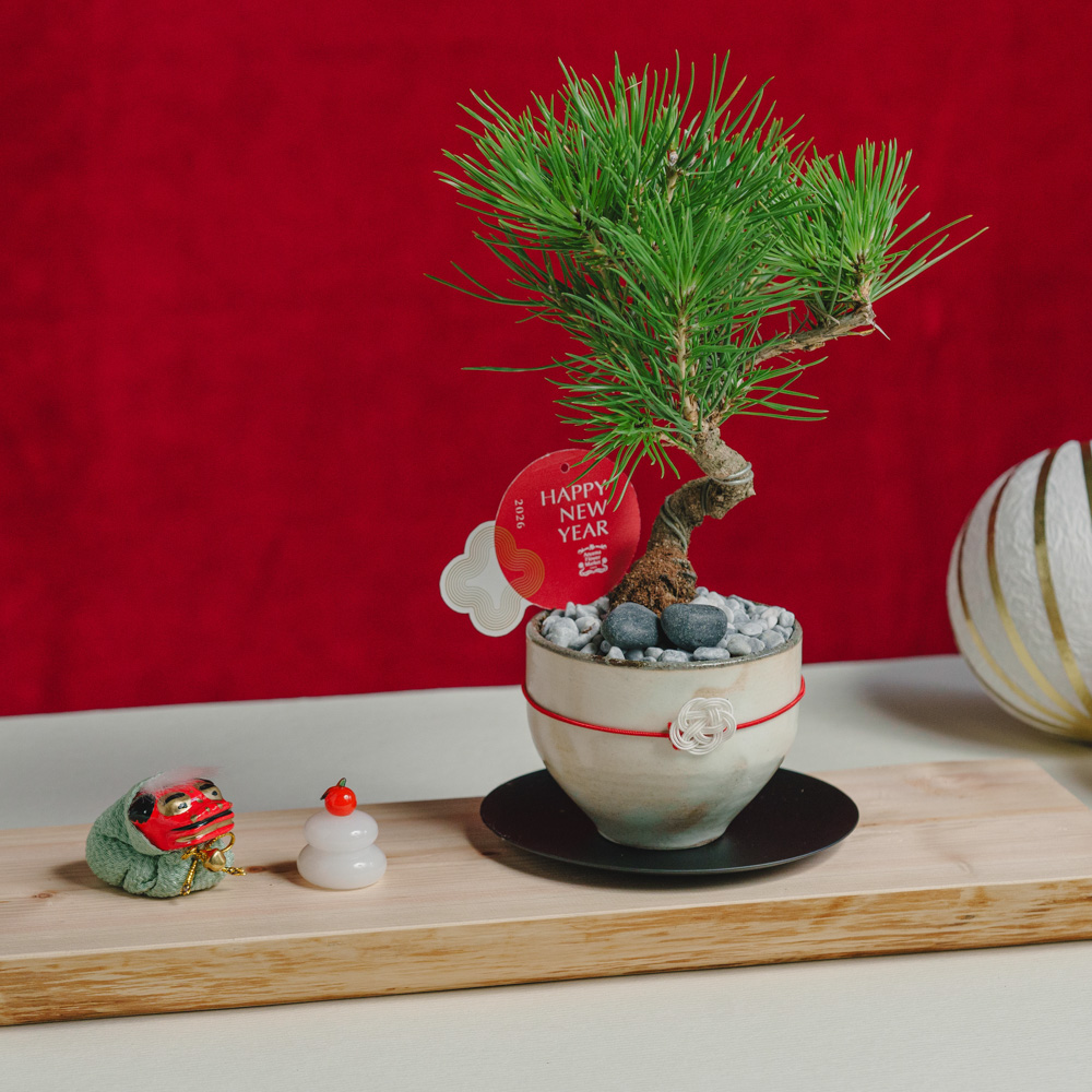 ＫＥＩさま専用　松とプロテアロビン、蓮の実のお正月飾り KEIさま専用 松とプロテアロビン、蓮の実のお正月飾り インテリア