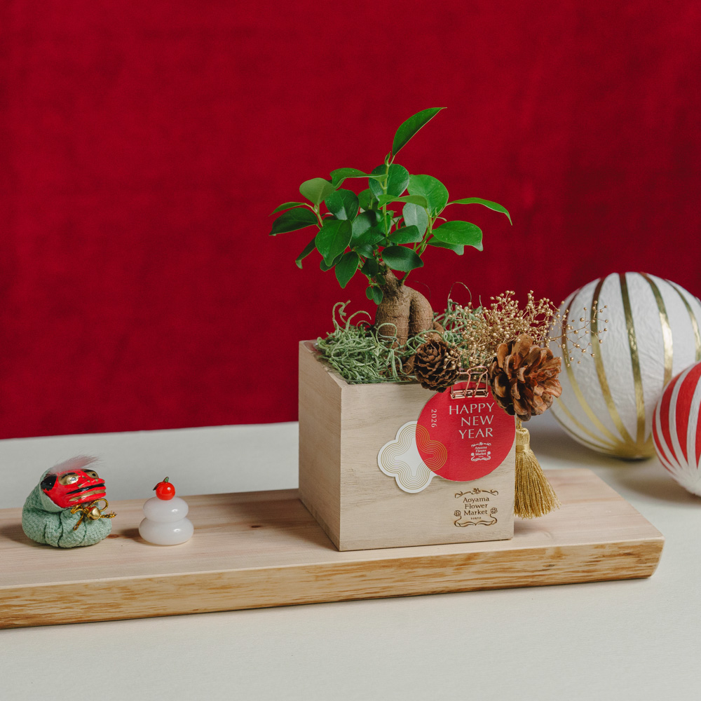 お正月お飾り3点セット付】黒松盆栽/青山フラワーマーケット