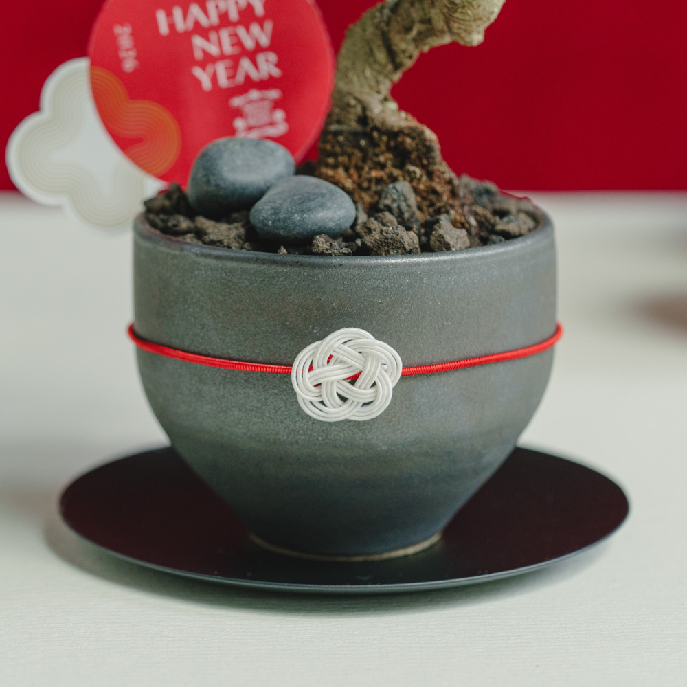 お正月商品】黒松盆栽/murmures(ミュールミル)/梓 -あずさ- 黒 | 青山