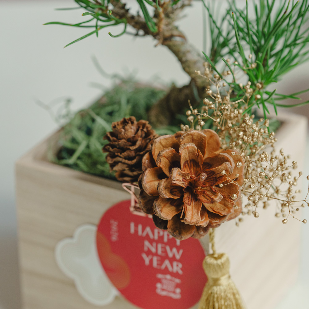 お正月商品】黒松盆栽/青山フラワーマーケット/オリジナル桐箱M | 青山