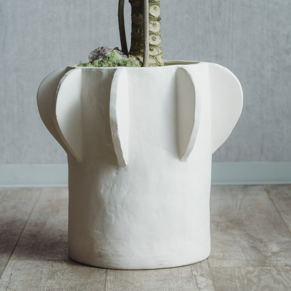 一点もの】フィロデンドロン・オージー(クッカバラ)/SERAX(セラックス