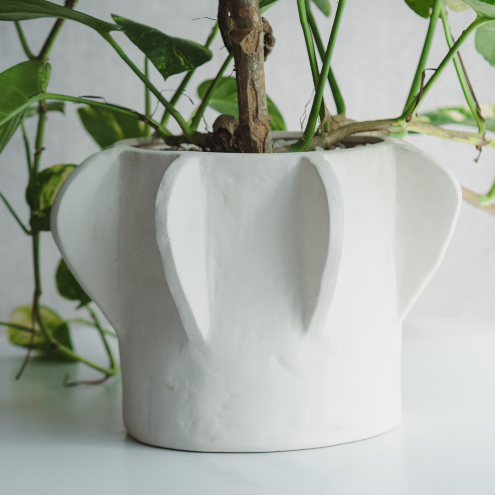 一点もの】ポトス・キング/SERAX(セラックス)/Flower Pot 02 M Beige