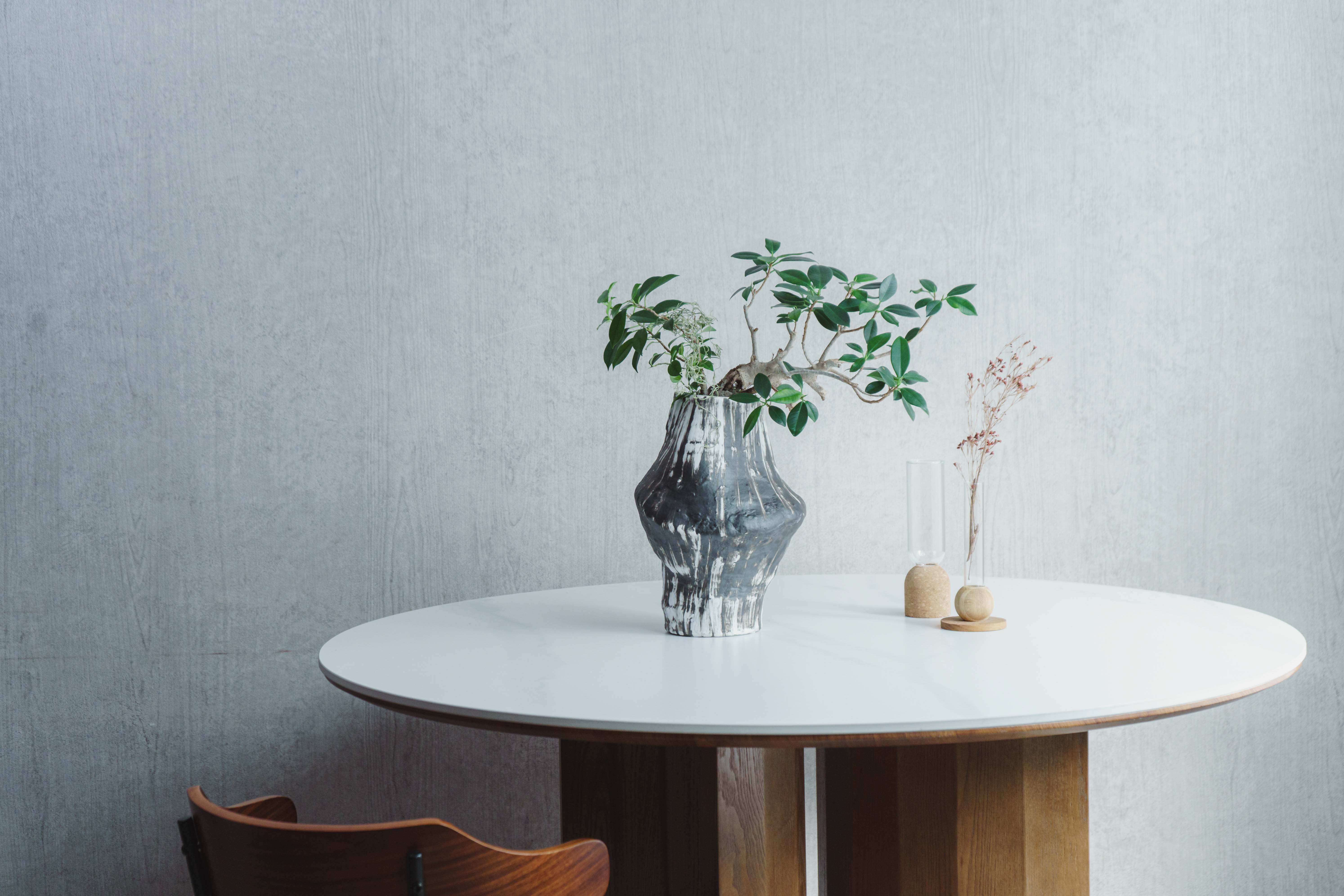 一点もの】ガジュマル/PATINA(パティーナ)/Patina Vase 4号 | 青山