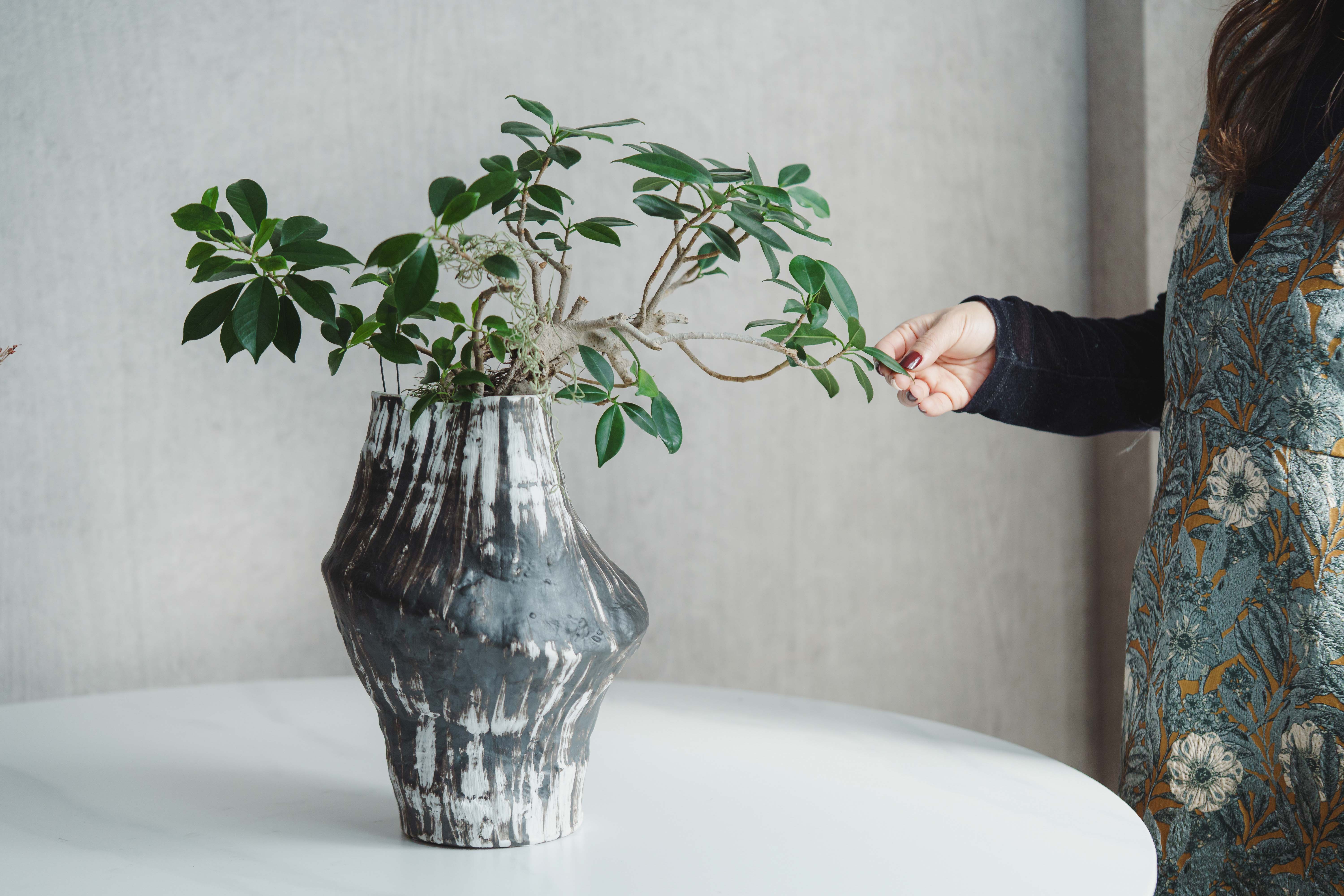 一点もの】ガジュマル/PATINA(パティーナ)/Patina Vase 4号 | 青山