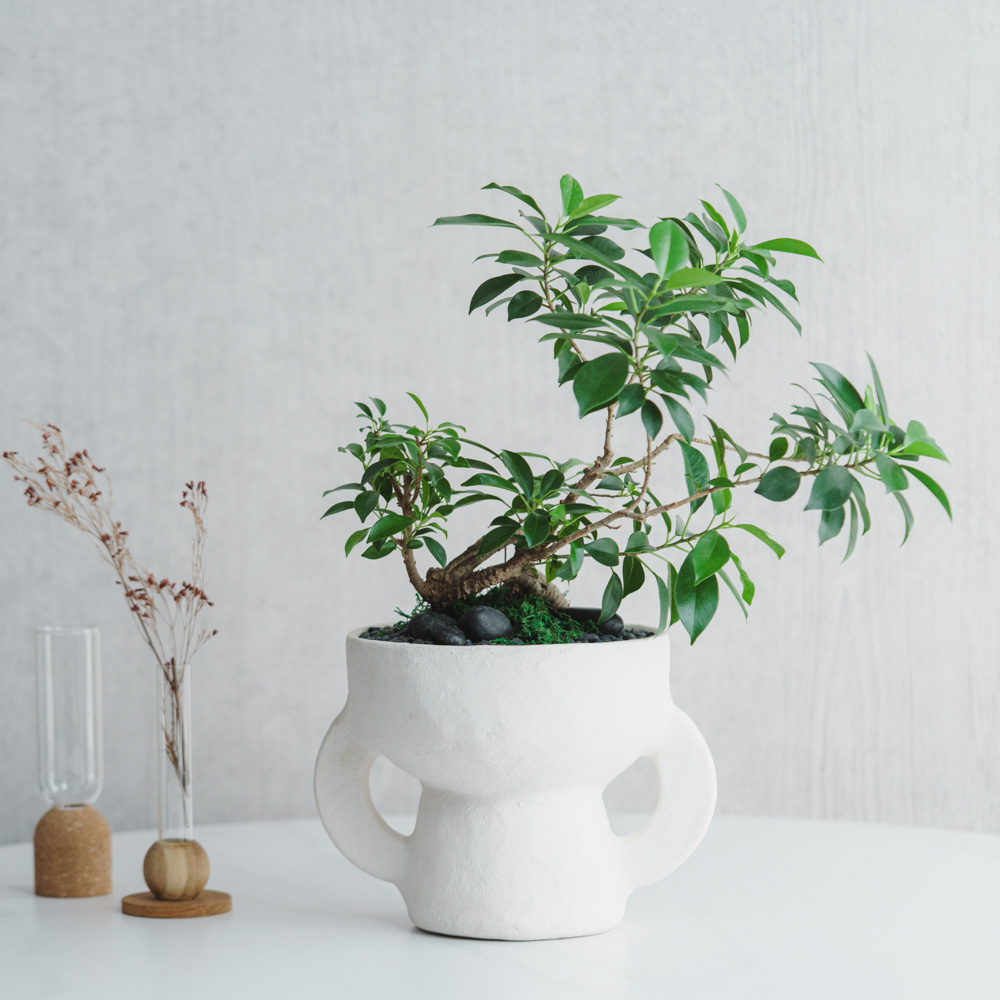 一点もの】ガジュマル/SERAX(セラックス)/Vase Earth S H22.5cm | 青山