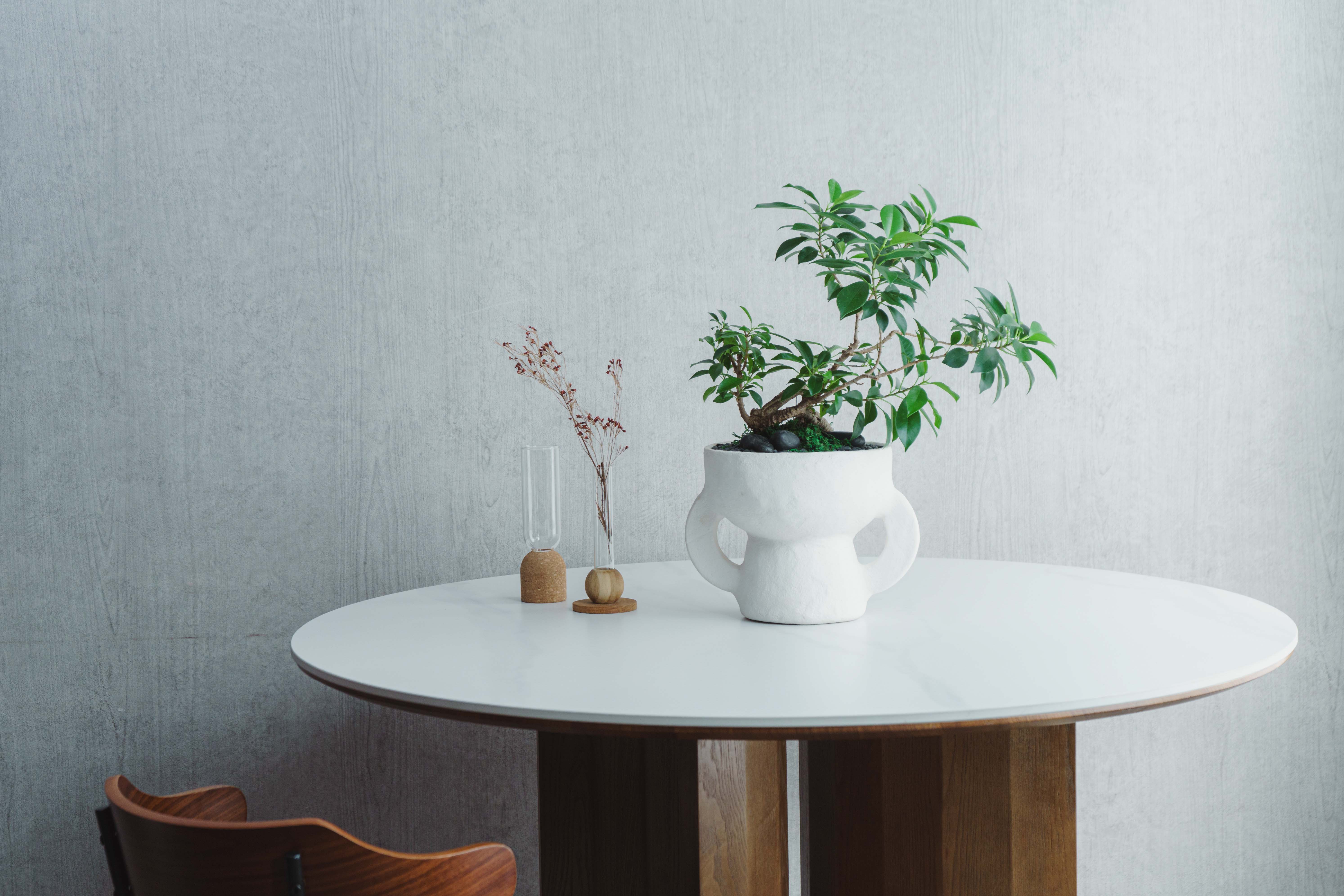 一点もの】ガジュマル/SERAX(セラックス)/Vase Earth S H22.5cm | 青山