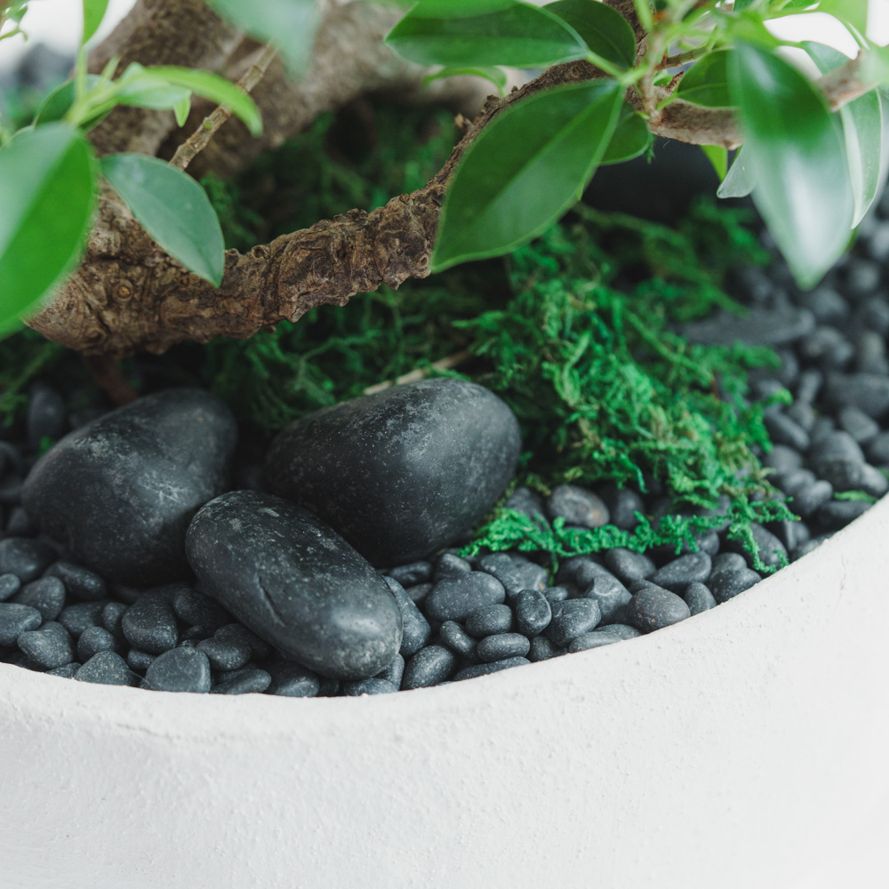 一点もの】ガジュマル/SERAX(セラックス)/Vase Earth S H22.5cm | 青山