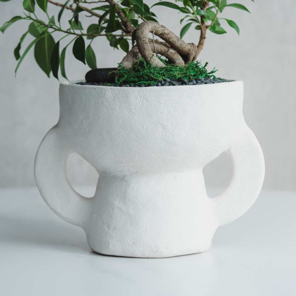 一点もの】ガジュマル/SERAX(セラックス)/Vase Earth S H22.5cm | 青山