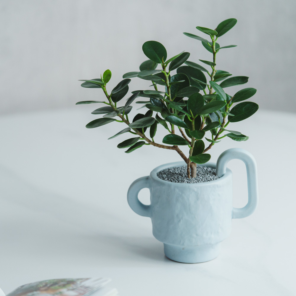 模写】絵画 青山義雄 油彩4号 ROSE 色彩豊かな薔薇の花束 Y171 配送