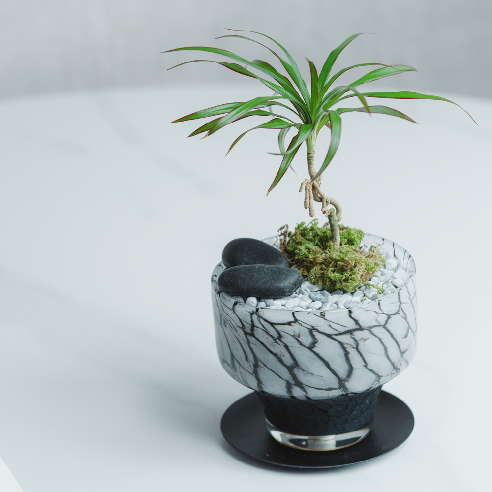 模写】絵画 青山義雄 油彩4号 ROSE 色彩豊かな薔薇の花束 Y171 配送