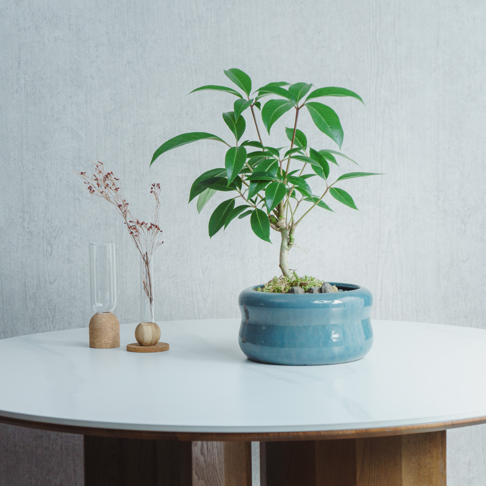 青山フラワーマーケット｜花束・ギフトのオンラインショップ