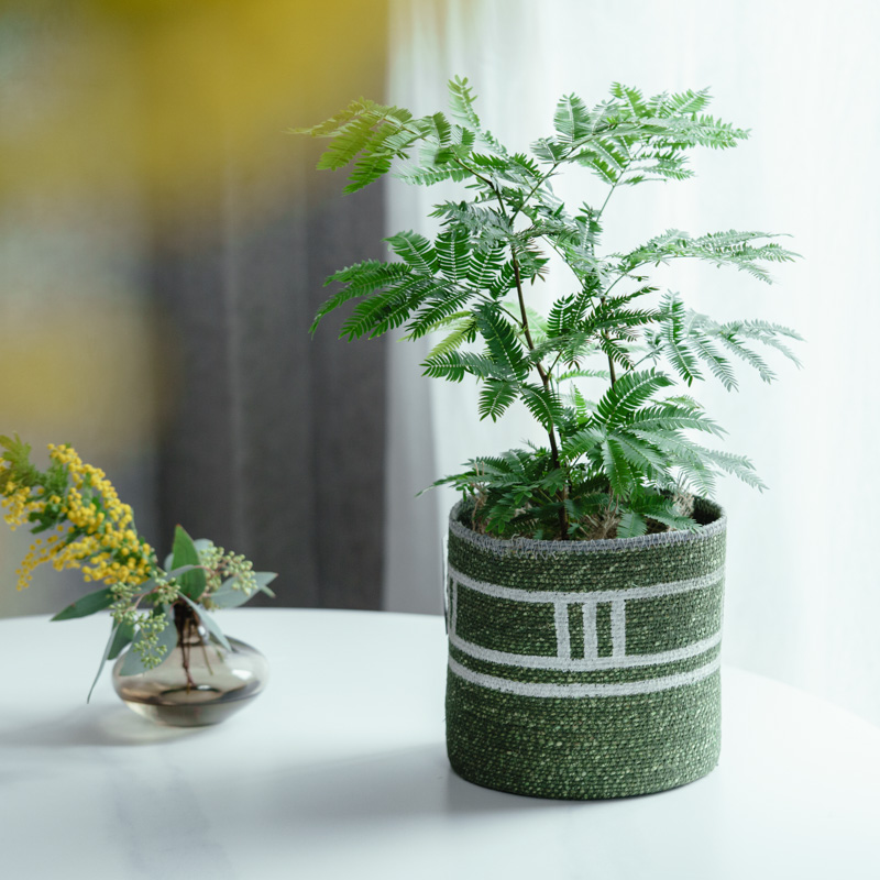 エバーフレッシュ/CLOVER(クローバー)/シーグラスバスケット グリーン