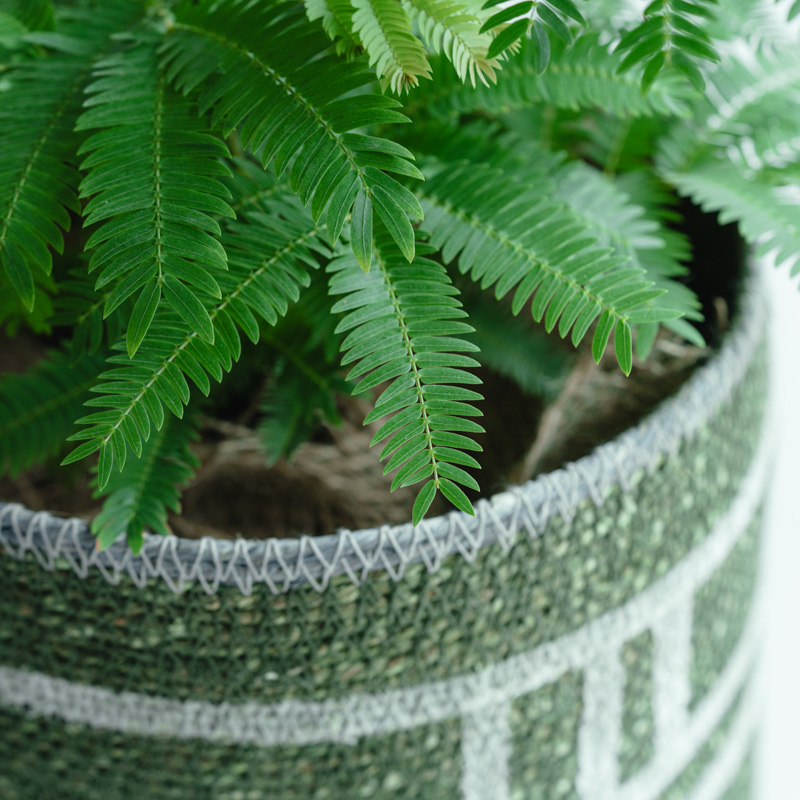 エバーフレッシュ/CLOVER(クローバー)/シーグラスバスケット グリーン