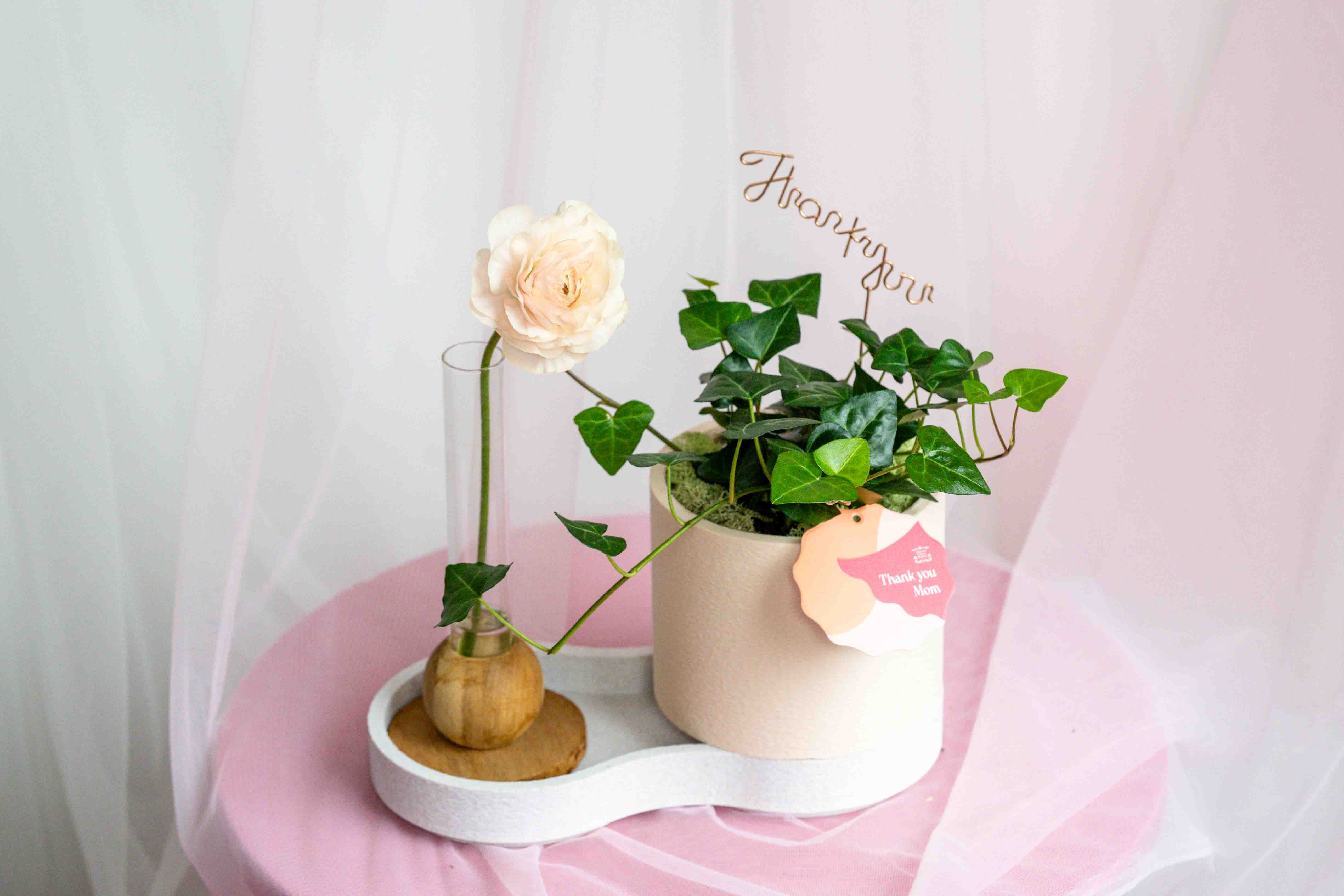 と*け様 新タランチュラ Page & Plant In Japan 6CD+1 と*け様 新タランチュラ Page & Plant In Japan 6CD+1 Massive Welcome]
