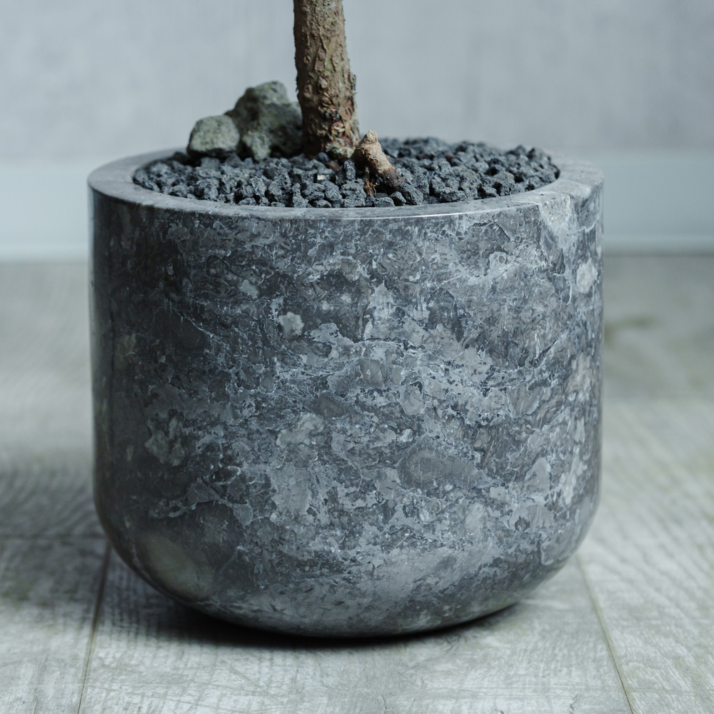 観葉植物 | 青山フラワーマーケット | 青山フラワーマーケット｜花束
