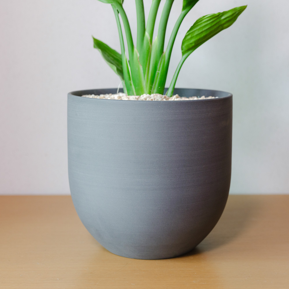 青山フラワーマーケット｜観葉植物/スタイル | 青山フラワーマーケット