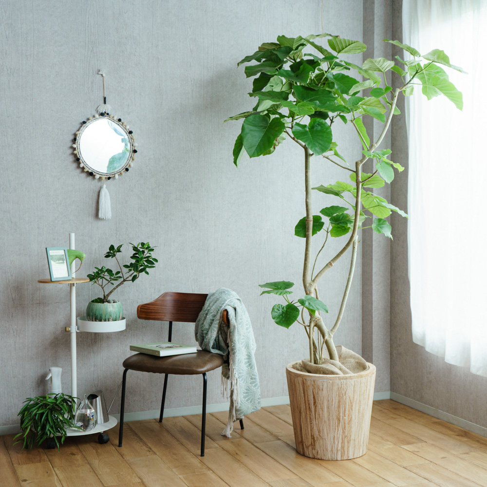 【未使用・箱付】MoMA ブロッサムウェル2 一輪挿し ペパーミントグリーン 観葉植物 | 青山フラワーマーケット | 青山フラワーマーケット｜花束