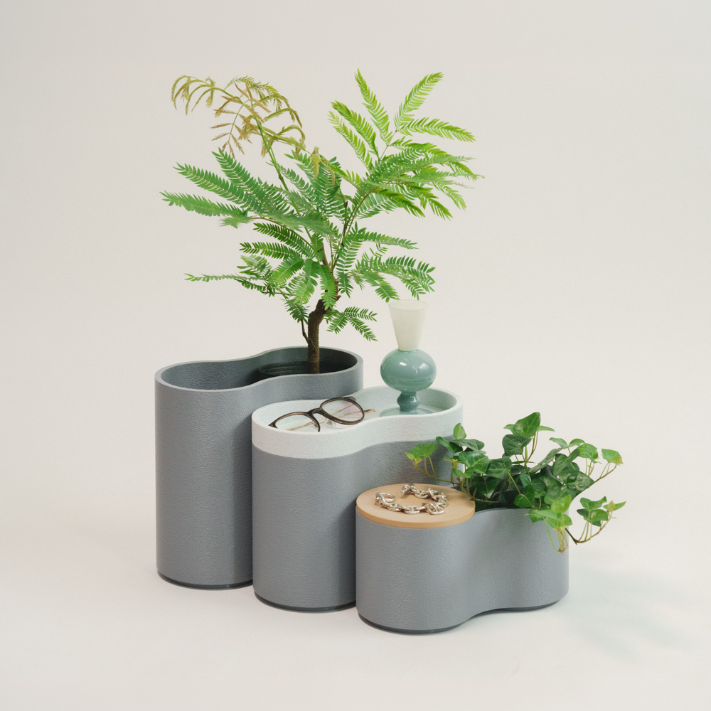 青山フラワーマーケット｜観賞植物｜商品カテゴリ | 青山フラワー