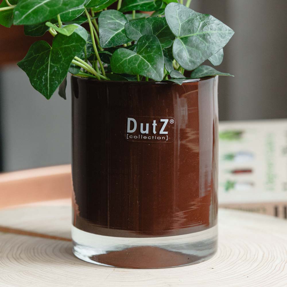 アイビー・トゥルーラブ/DutZ Collection (ダッツ コレクション