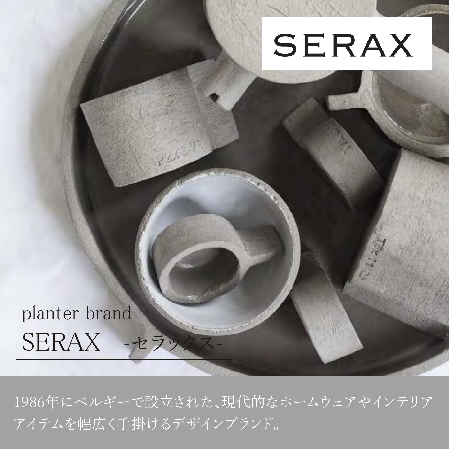 一点もの】ポトス・キング/SERAX(セラックス)/Flower Pot 02 M Beige