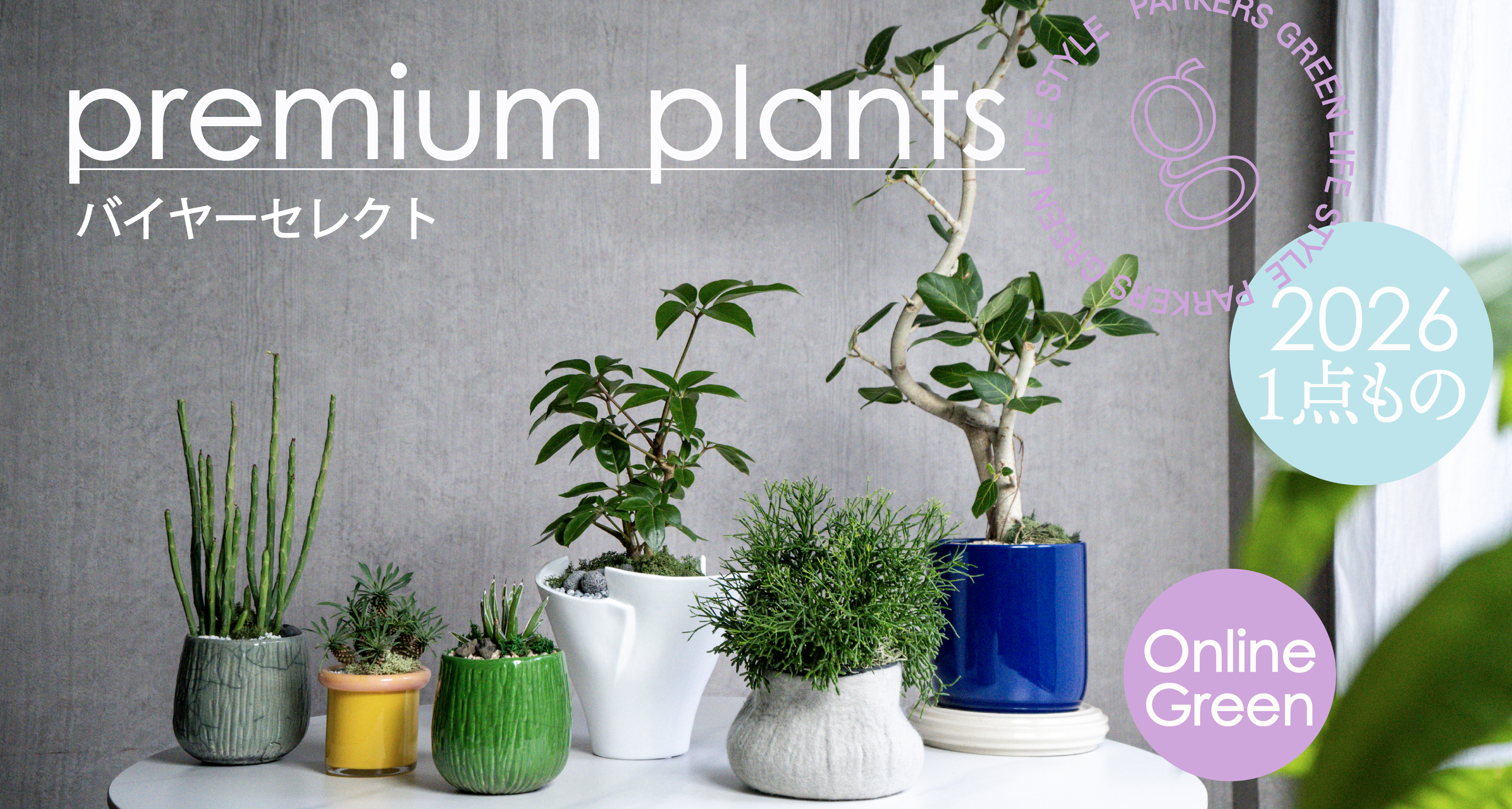 観葉植物のオンラインショップ | 青山フラワーマーケット