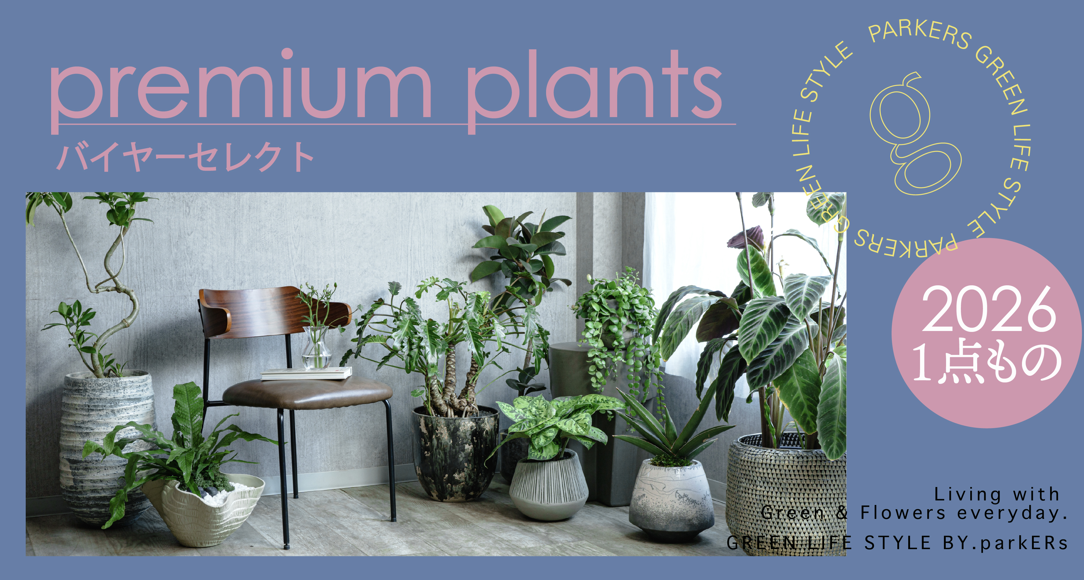 観葉植物 | 青山フラワーマーケット インテリアやギフトに最適|通販|花