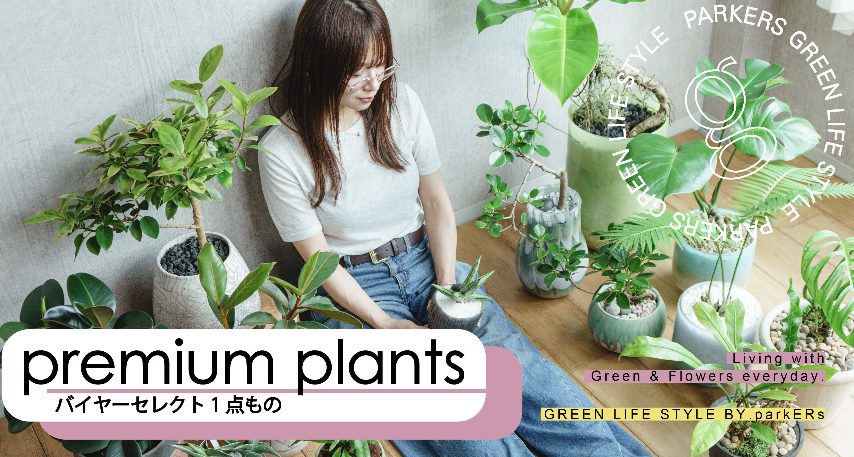 観葉植物 | 青山フラワーマーケット インテリアやギフトに最適|通販|花
