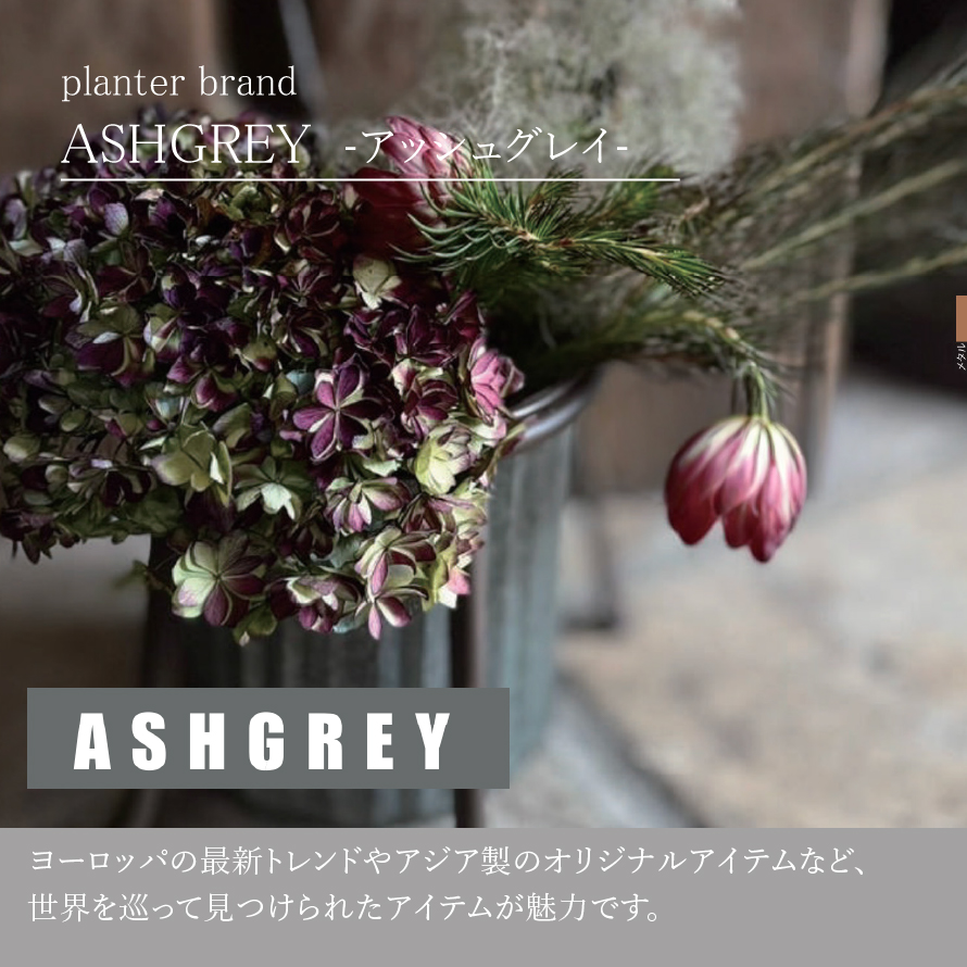 専用＊14kgf/アバロンシェル×クリスタルとブラウントパーズのトロピカルな植物 メキシコ産アバロンシェル-001水晶クラスター、天然石ビーズのアート