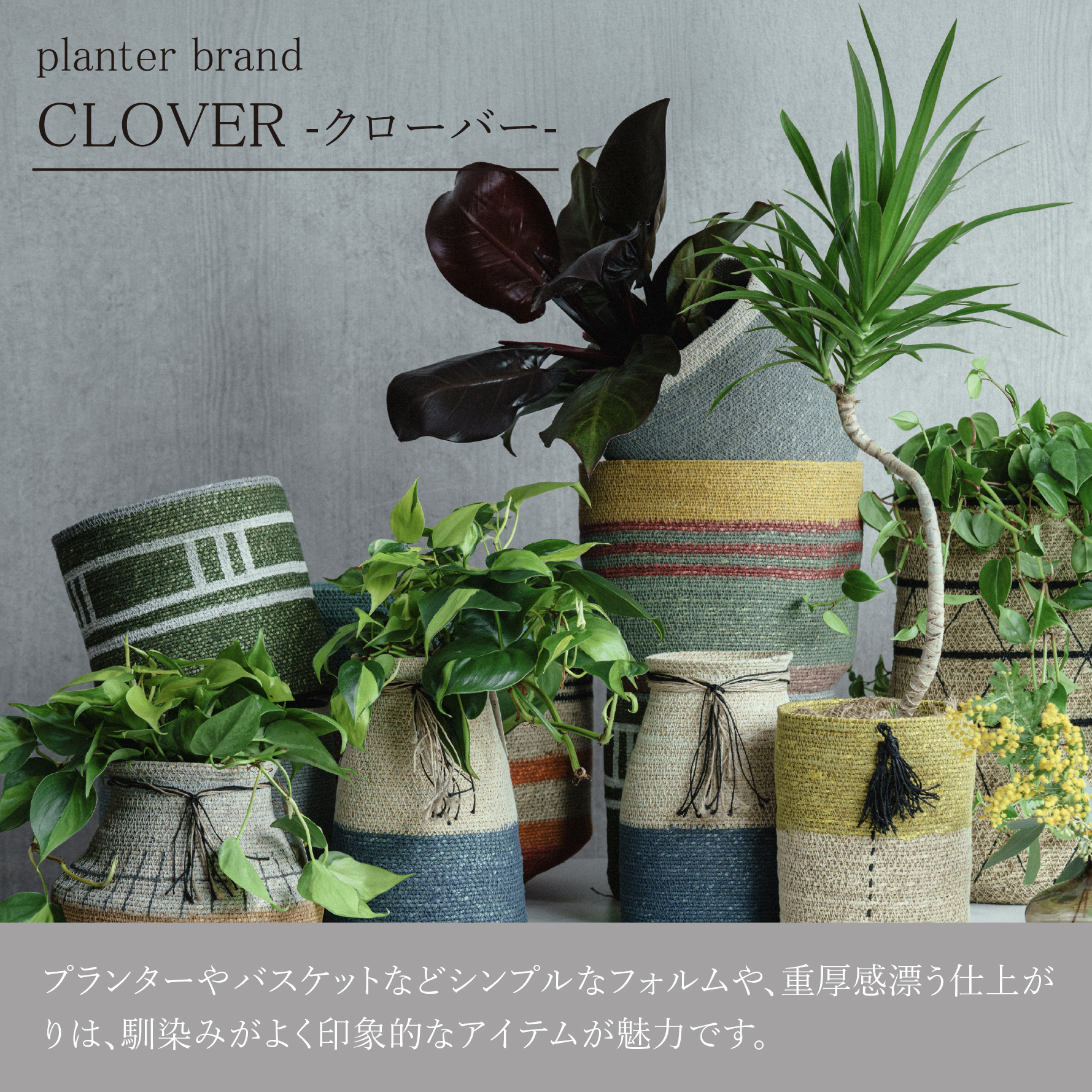 エバーフレッシュ/CLOVER(クローバー)/シーグラスバスケット グリーン