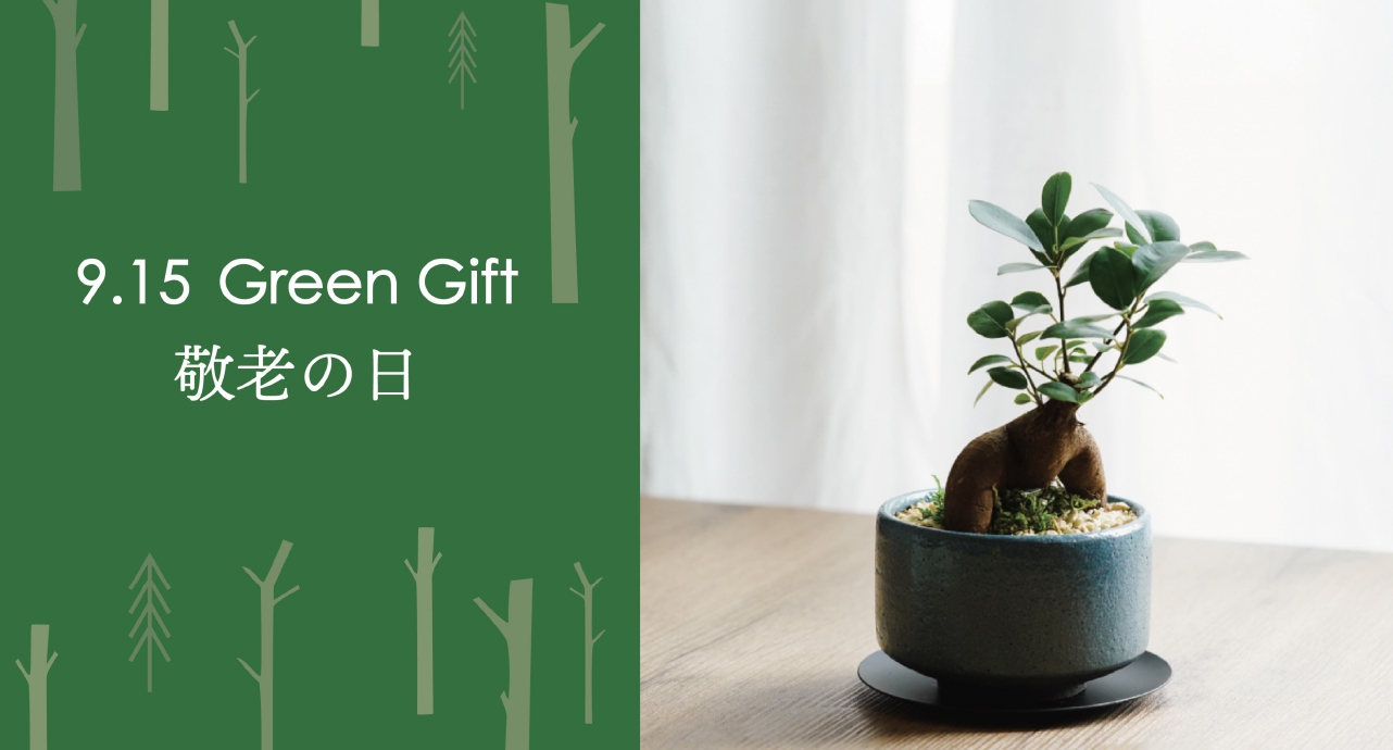 観葉植物 | 青山フラワーマーケット インテリアやギフトに最適
