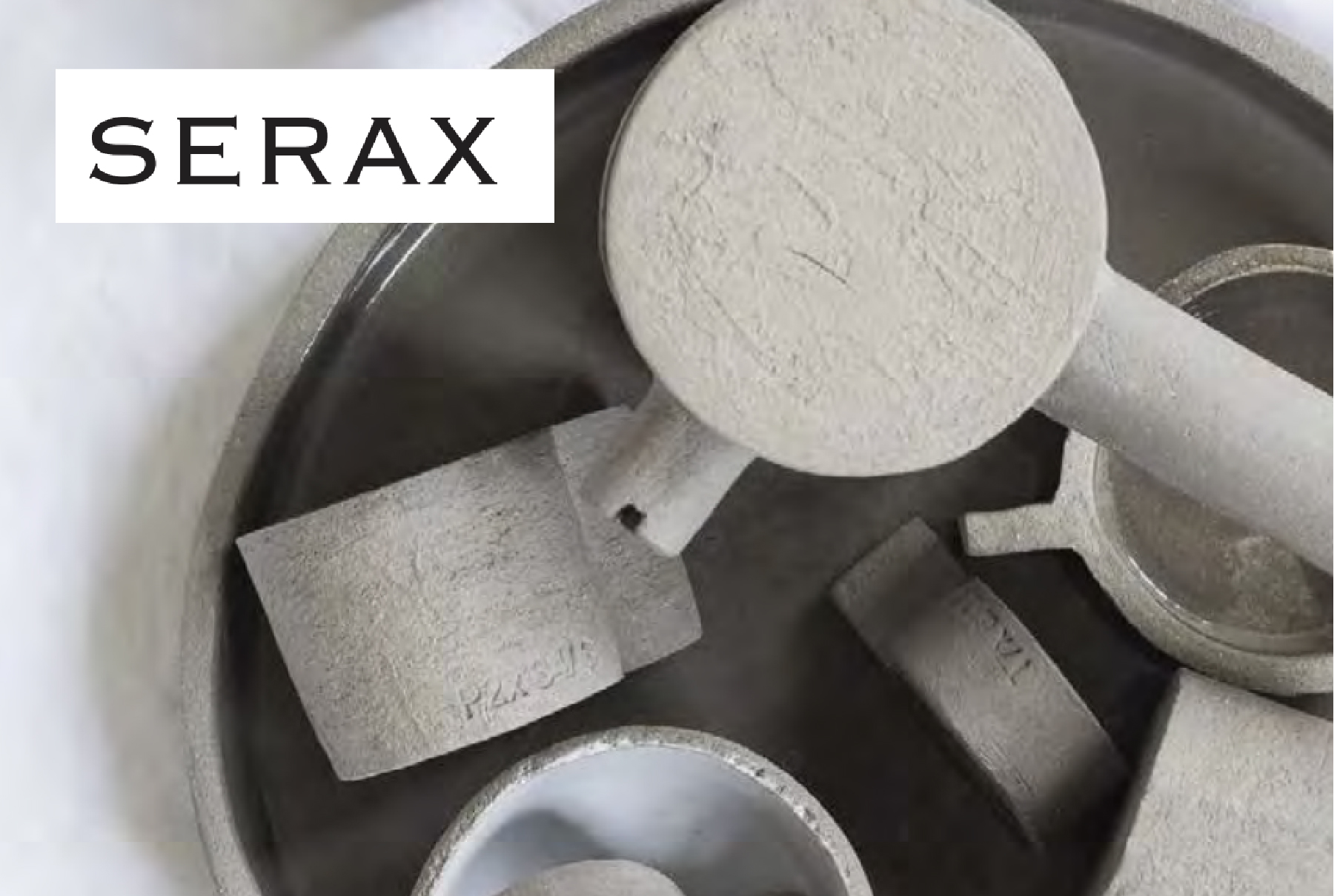 一点もの】フィロデンドロン・オージー(クッカバラ)/SERAX(セラックス