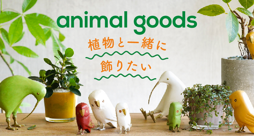 どっしりと絡みつく幹が特徴のガジュマル | 青山フラワーマーケット