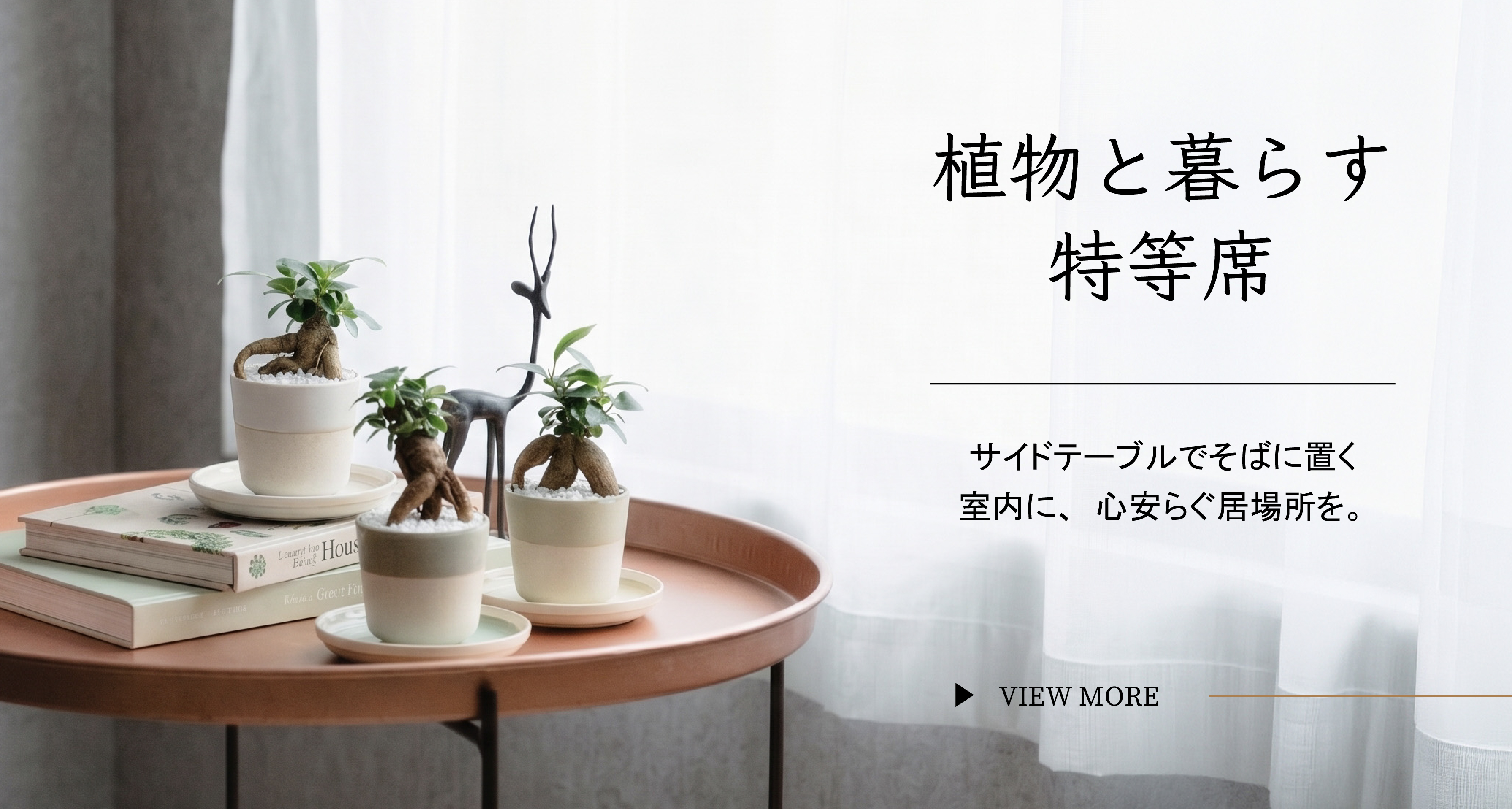 観葉植物 | 青山フラワーマーケット インテリアやギフトに最適|通販|花
